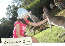 Crrumbin Zoo